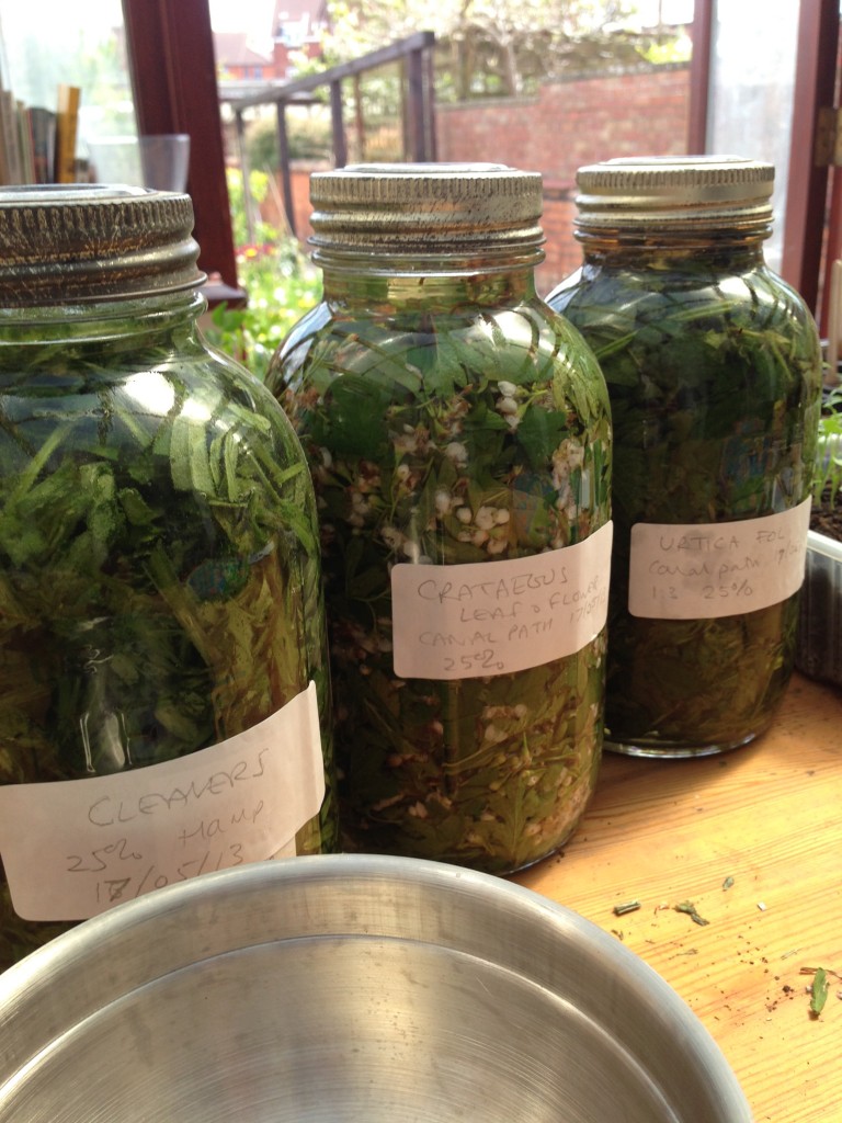 Bulk Tincture
